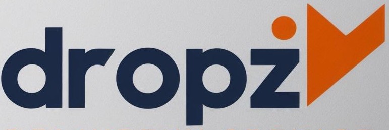 DROPZI Logo